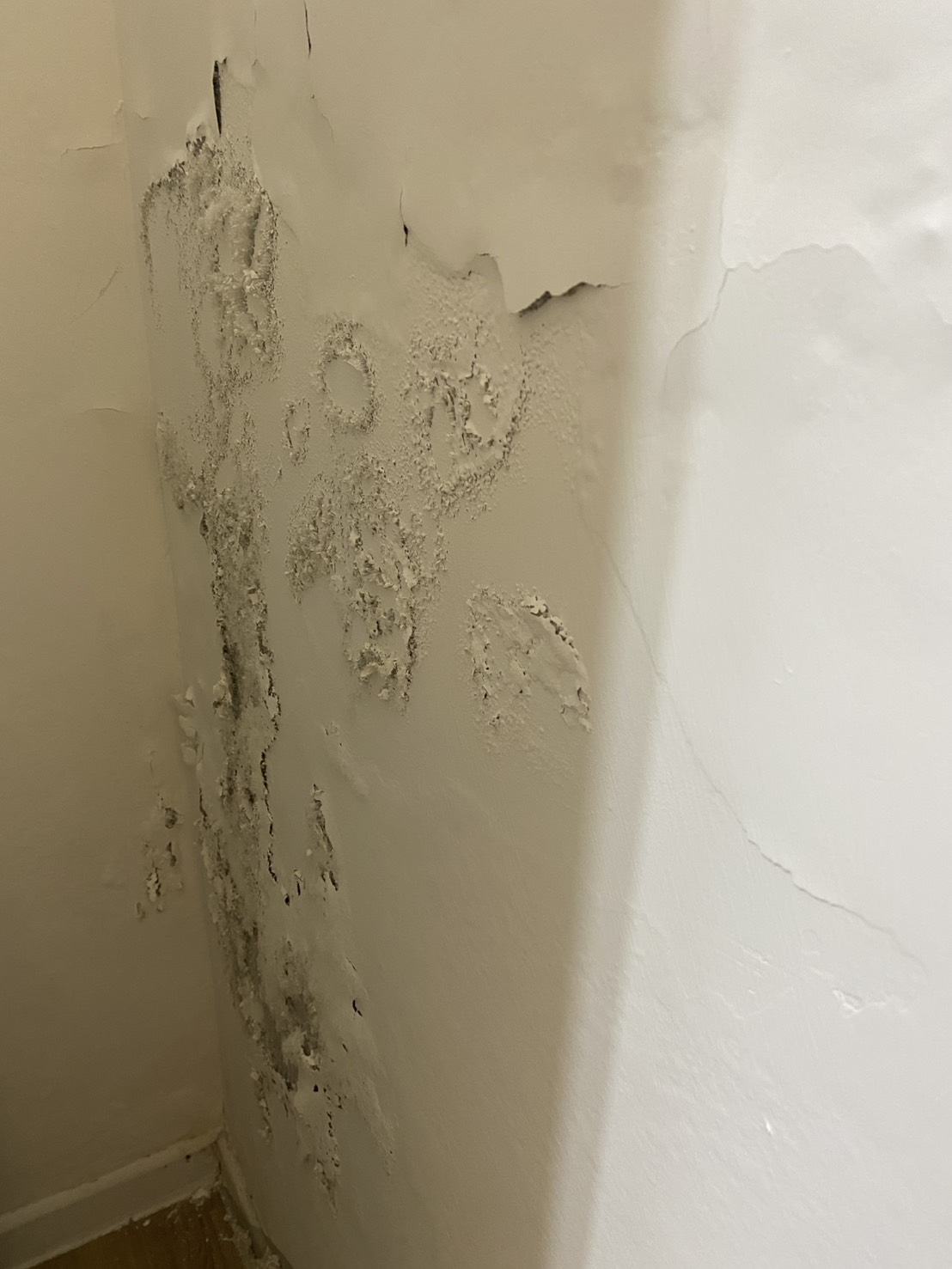 牆壁嚴重反潮與大面積壁癌是常見的房屋閒置風險,澔居品牌公寓李松濱建議及早處理以免損害擴大。